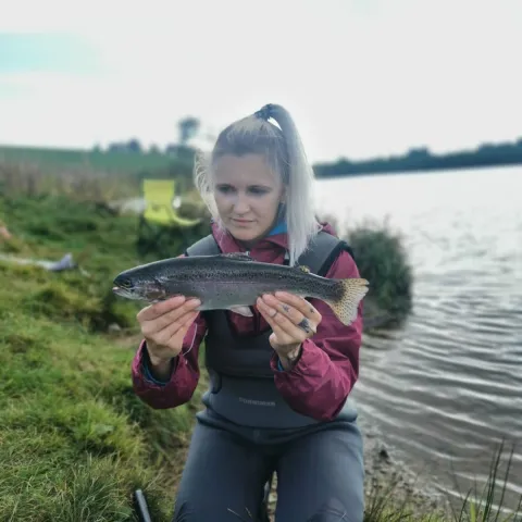 Regenbogenforelle