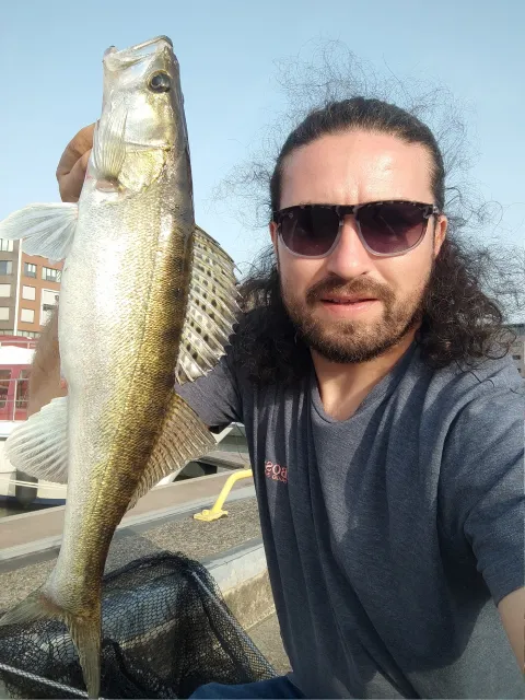 Zander