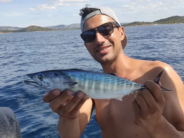 Bonito