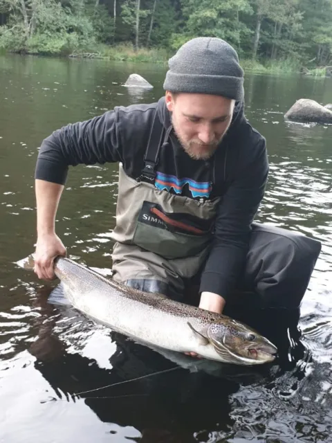 Lachs