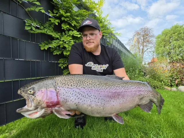 Regenbogenforelle