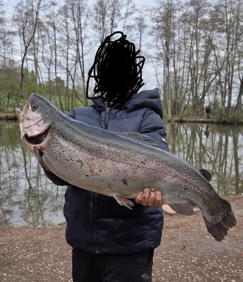 Lachs
