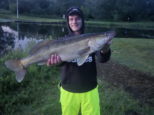 Zander