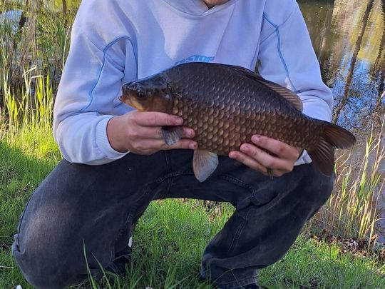 Giebel