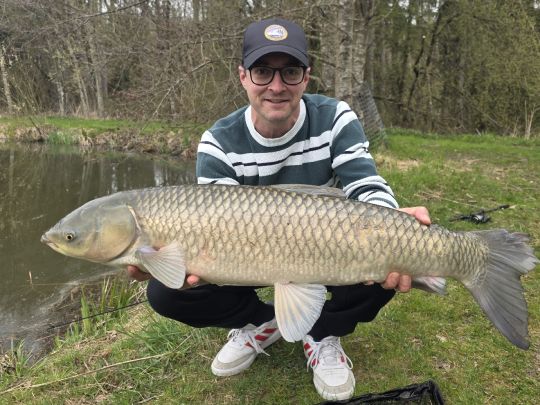 Graskarpfen