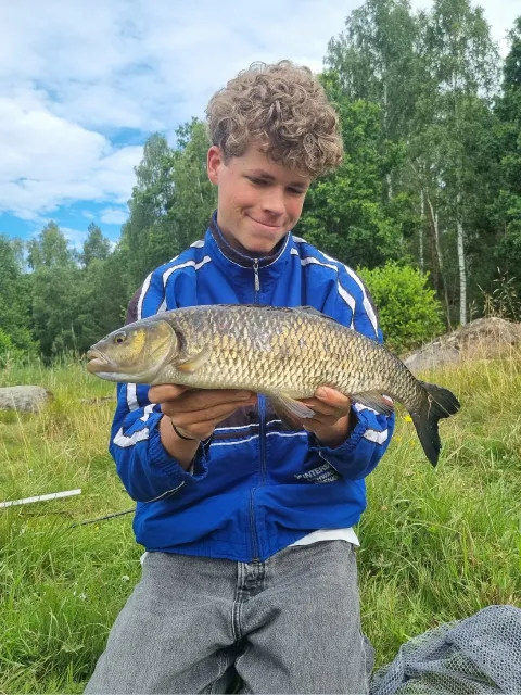 Döbel