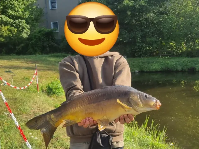 Karpfen