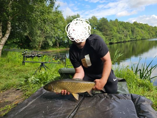 Graskarpfen