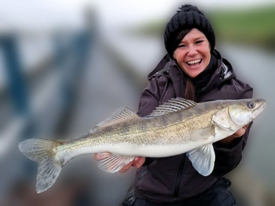 Zander