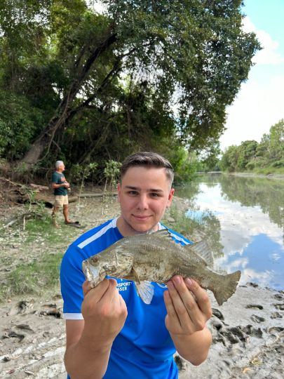 Barramundi