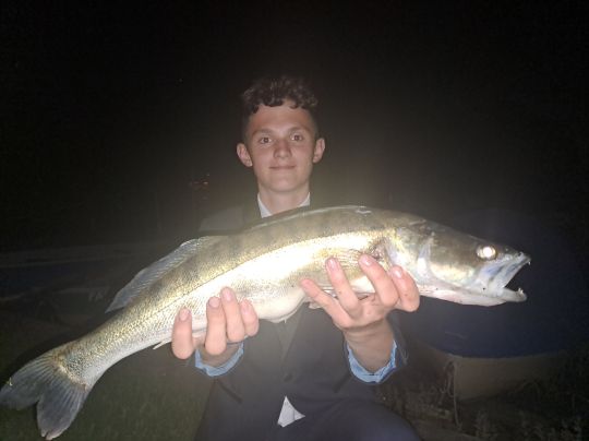 Zander