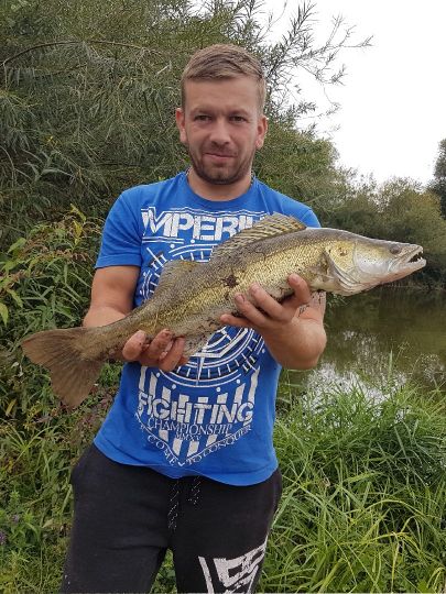 Zander
