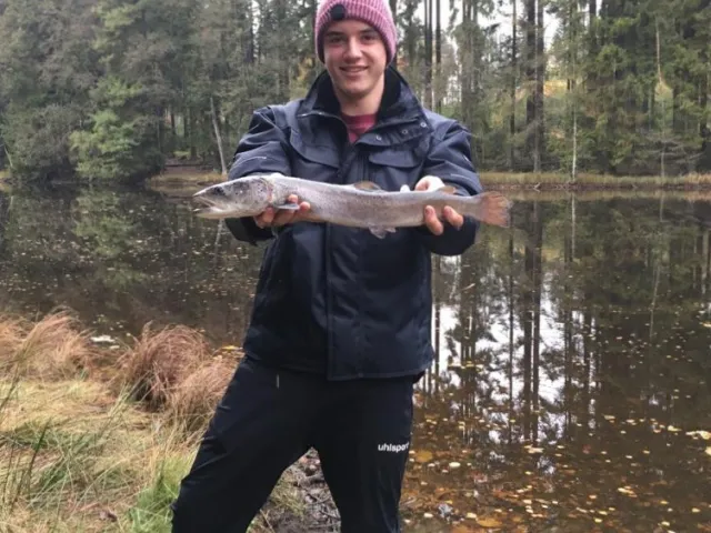 Huchen