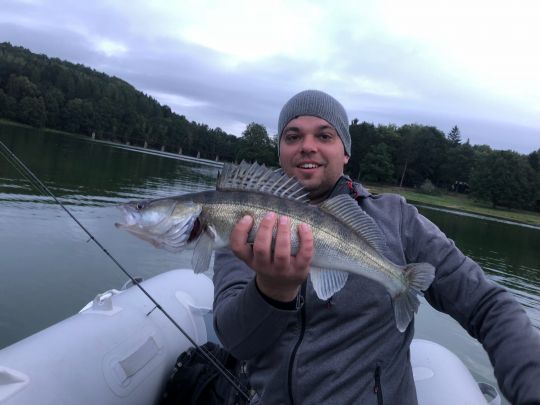 Zander