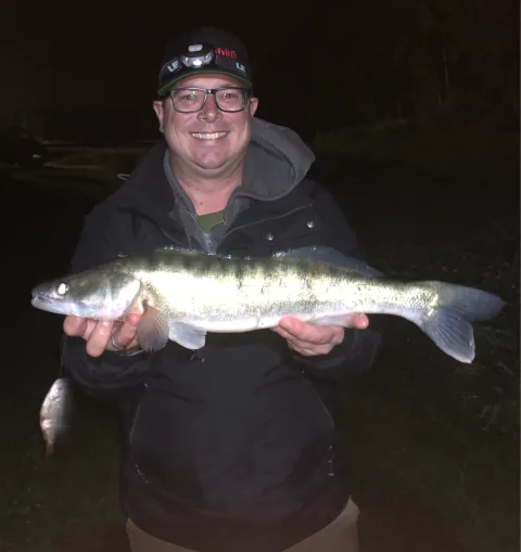 Zander