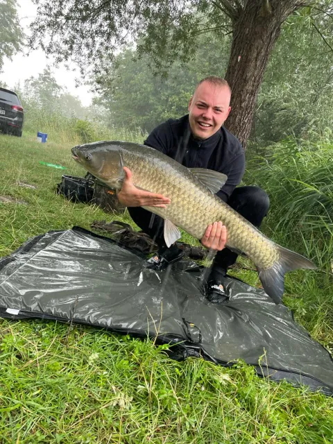 Graskarpfen