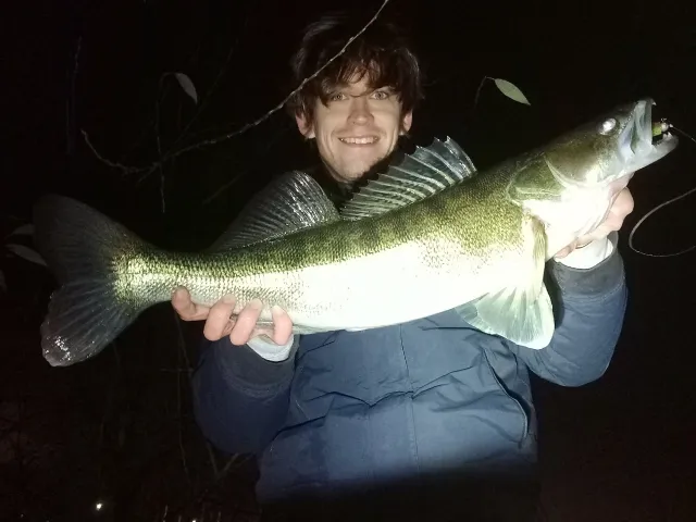 Zander