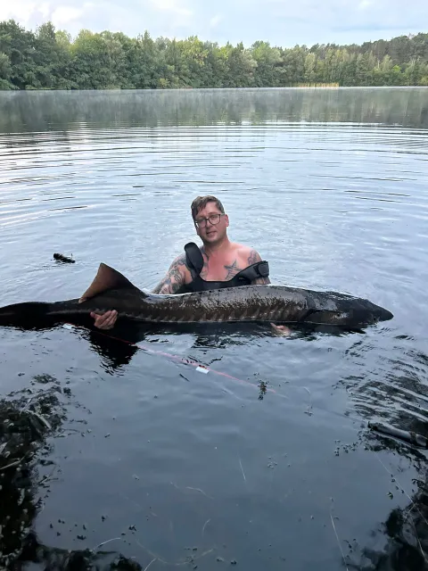 Stör