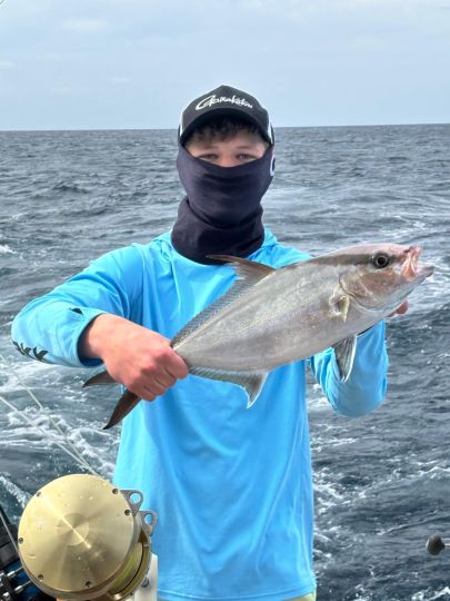Amberjack