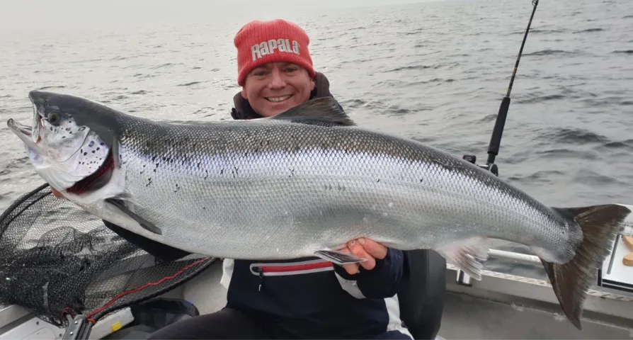 Lachs