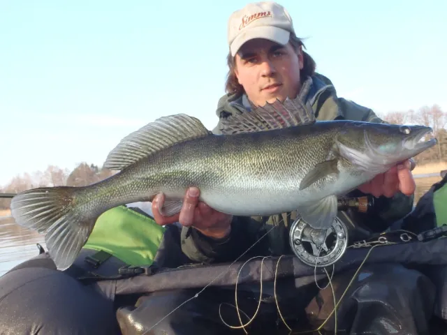 Zander