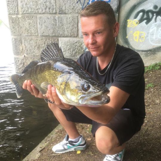 Zander