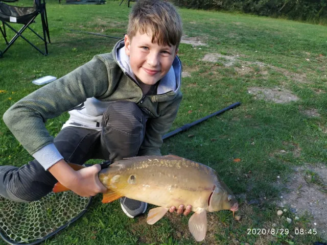 Karpfen
