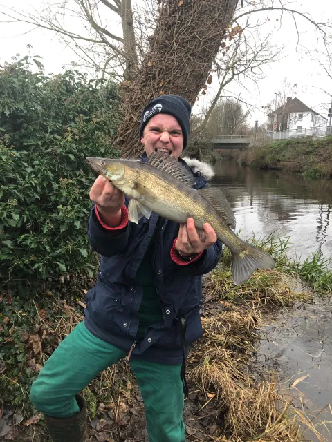 Zander