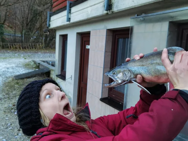 Elsässer Saibling