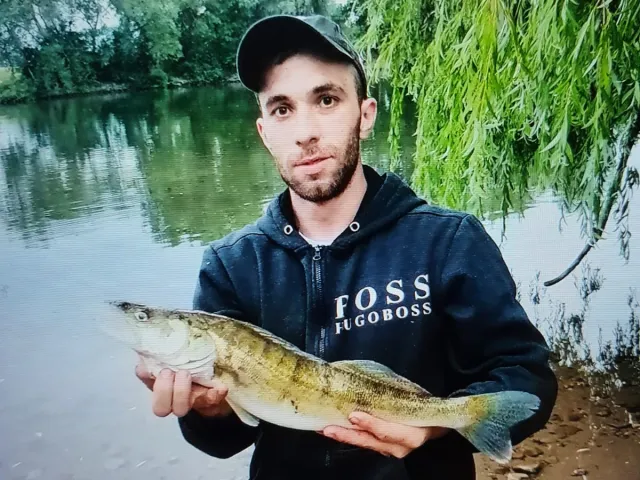 Zander