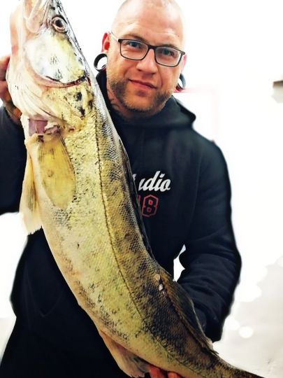Zander