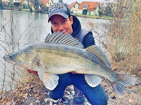 Zander