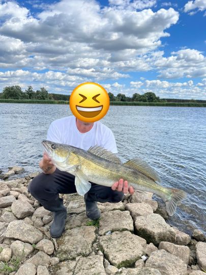 Zander