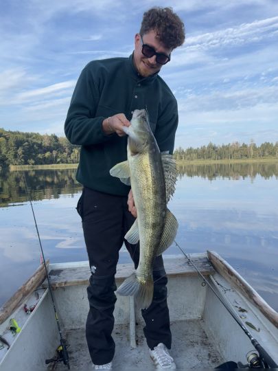 Zander