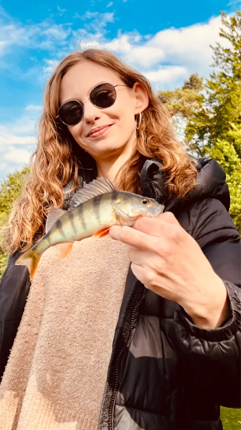Flussbarsch