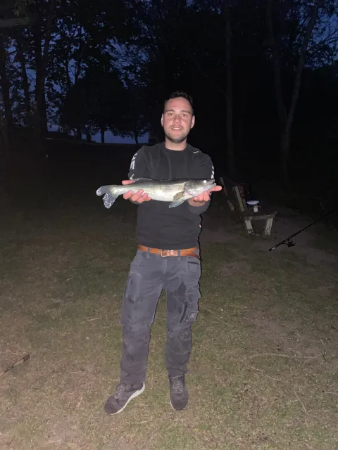 Zander