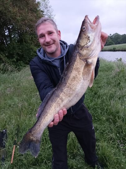 Zander