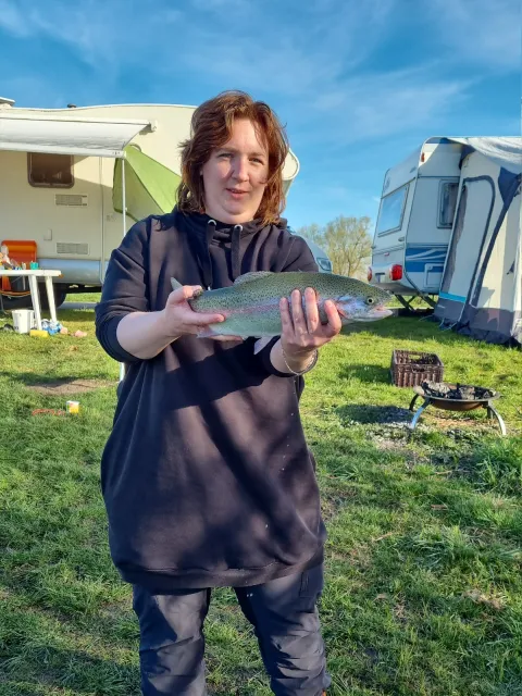 Regenbogenforelle