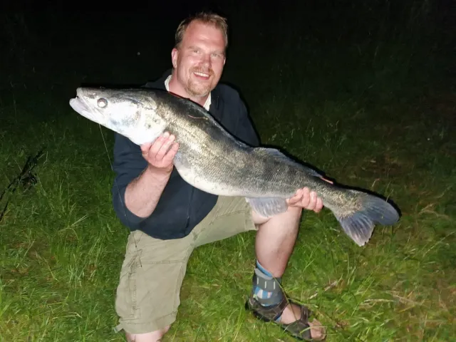 Zander
