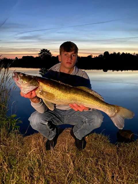 Zander