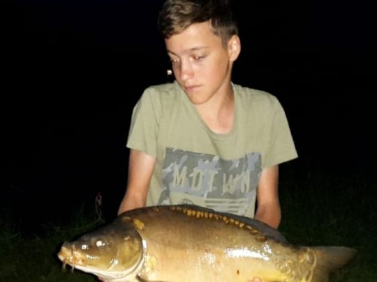 Karpfen