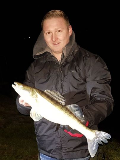 Zander