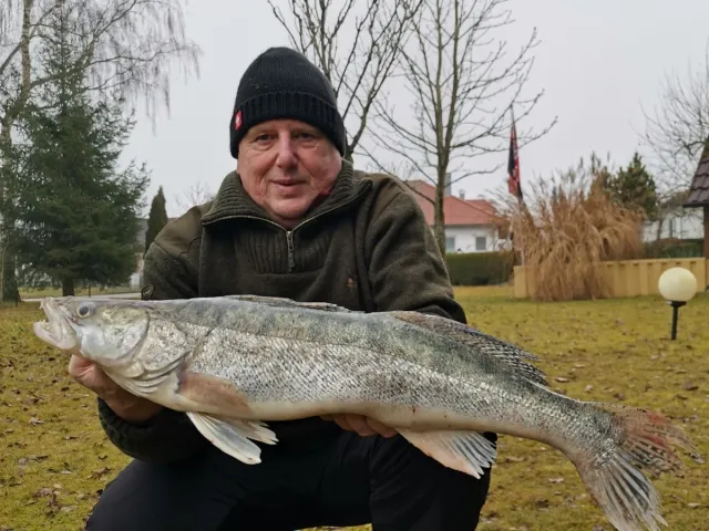 Zander