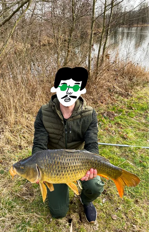 Karpfen