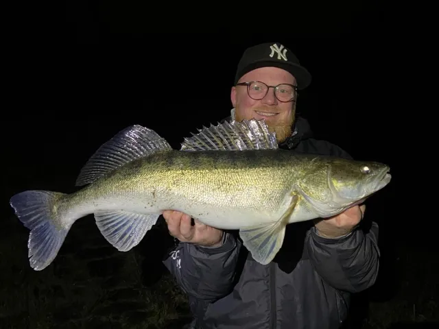 Zander