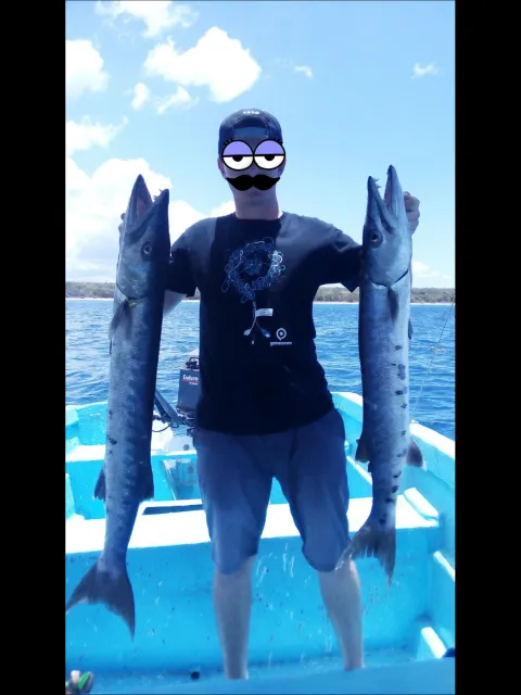 Barrakuda