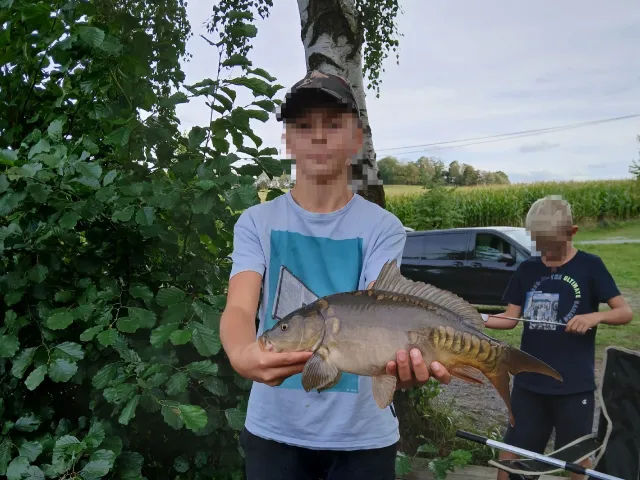 Karpfen