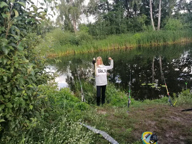 Aal