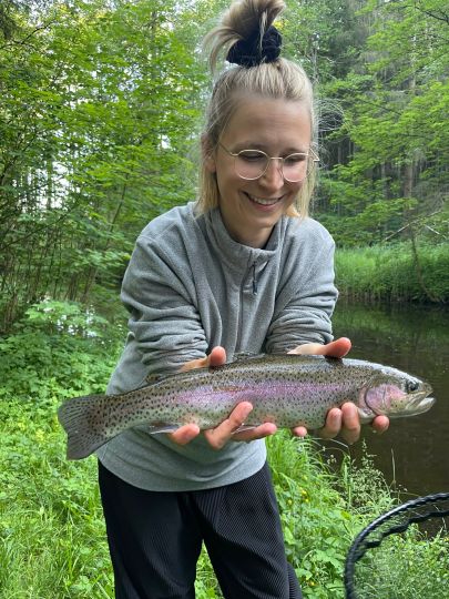 Regenbogenforelle