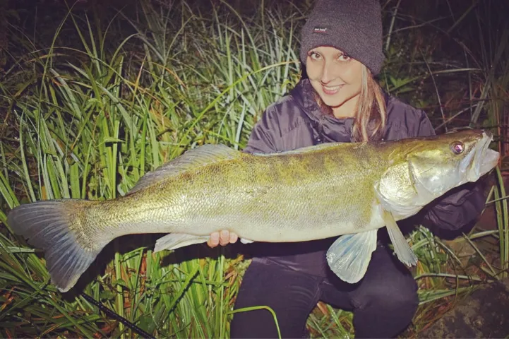 Zander
